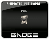Animate Pet Badge! Pug
