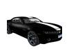 Black Camaro XO