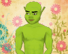 {~} Shrek Skin