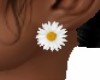 *DAISY*  EARRINGS