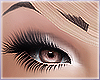 ∞ Feathery Lashes
