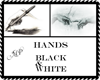Hands Black & White
