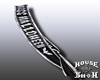 *HS Sash Ms Halloween