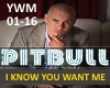 PITBULL-I KNOW U WANT ME