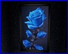 ☺S☺MoonLight/Rose