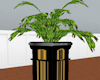 Pedestal Plant