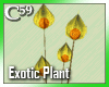 [C59] Exotic Yellow 2