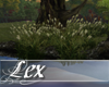 LEX dark reed animated
