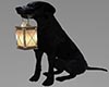 Dog Lantern