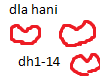 dla hani