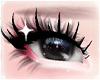 [Add] Lashes [2]