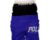 ʀ. pᴏlᴏ V2