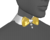 yellow Collar 23