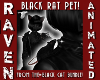 PET BLACK SHOULDER RAT!