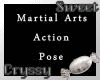 Martial Arts Action Pose