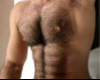 sexy hairy chest