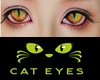 Cat Eyes 1