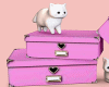 𝐼𝑧.!KittyBoxes