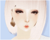 ϫ GAUTAS/ No Brows/ ϫ