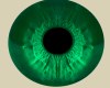 [GM] Eyes Emerald Female