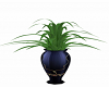 Vase Plants A1
