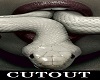 Snake| cutout