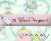 25 Weeks Pregnant (P)