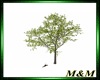 M&T-Tree with 