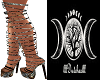 D! SafariHeels