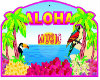 (S) Aloha youtube player