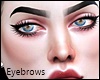 Eyebrows Black II MH