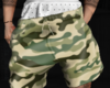 Camouflage Money Shorts