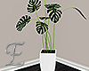 -E- Plant & Vase