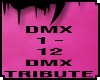 lKl Dmx Tribute