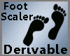 Derive Foot Scale -M-