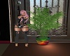 1BRIGHT COLORED PLANT