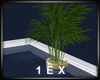 1EX MA Entrance Plant 1