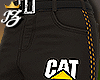 <BR> Cat Diesel Pants