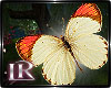 iR" Butterflies v2