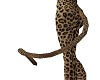 Cheetah Tail F/M