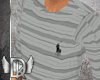 CeTl Gray Polo Sweater