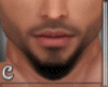 Beard 2