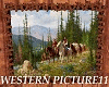 Western Picture 11