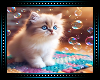 ♡ Kitten Bubbles BG