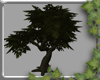 ~E- Tree w/Poses 3 -Dark