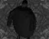 Black Down Coat