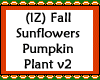 Sunflowers Pumpkin v2