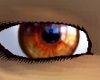 eyez~doe brown