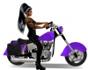 Purple Harley
