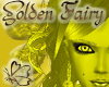 (RN)*HoT Golden Fairy EY